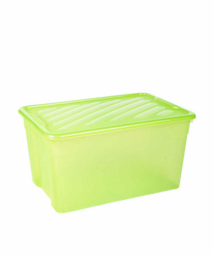 Homeplast Nak-Box 67l. Πλαστικό Κουτί Αποθήκευσης με Καπάκι, Χρώμα Πράσινο-Λαχανί 60x40x31cm