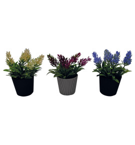 ΓΛΑΣΤΡΑΚΙ ΜΕ ΦΥΤΟ Νο 24 200ΤΜΧ/ΚΙΒ-47875